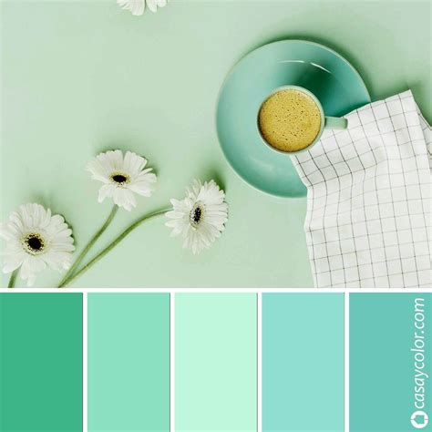color menta