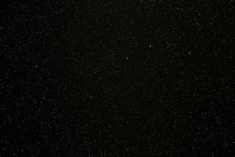 color negro