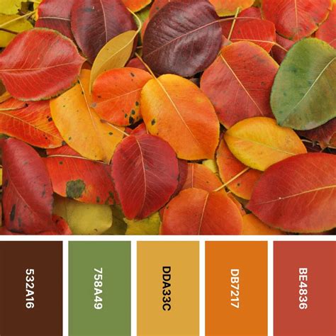 color pallet