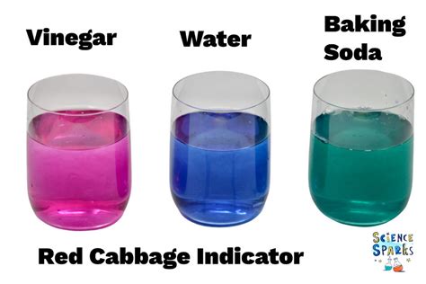 Color Ph Baking Soda And Vinegar Science Experiment Ph Science Experiments - Ph Science Experiments