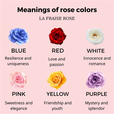 color rose