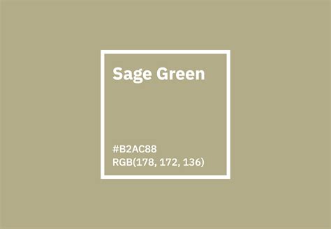 color sage