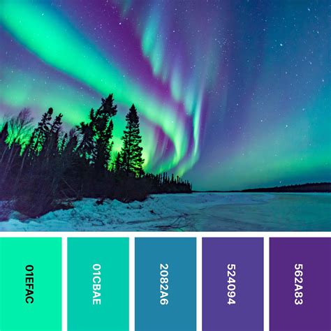 color scheme