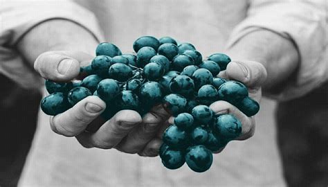 color splash