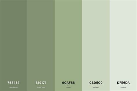 color to color code