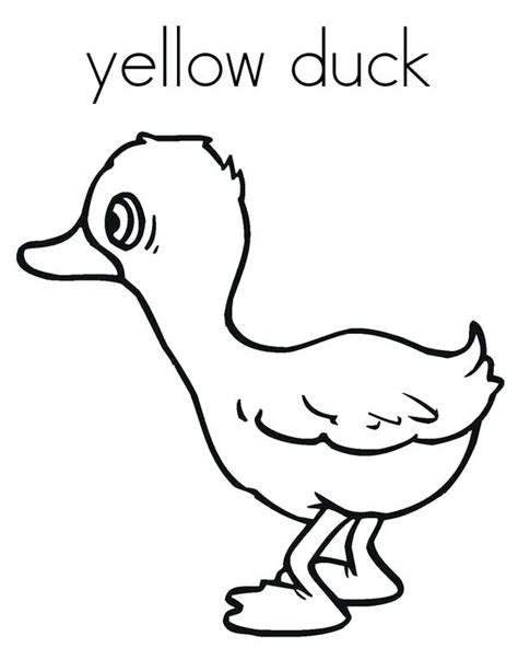 Color Yellow Coloring Pages   Yellow Jacket Coloring Page Creativetherapytools - Color Yellow Coloring Pages