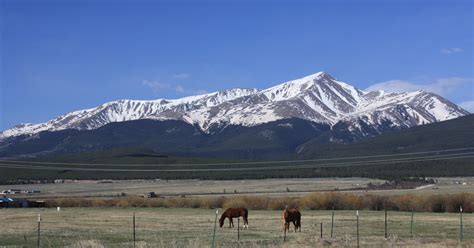 colorado elbert