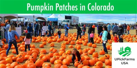 colorado pumpkin patch