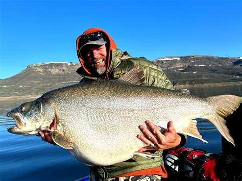 colorado record