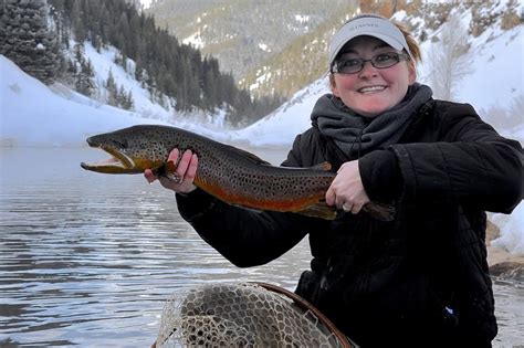 colorado stocking report