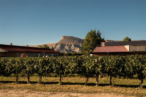 colorado wineries