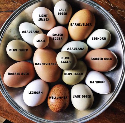 colored eggs