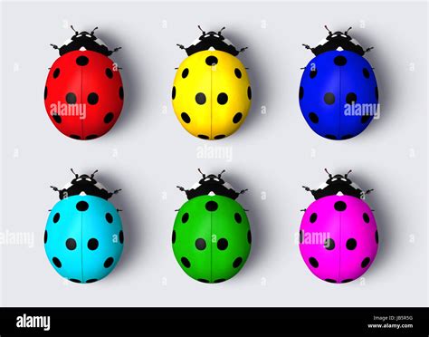 colored ladybugs