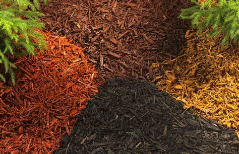colored mulch