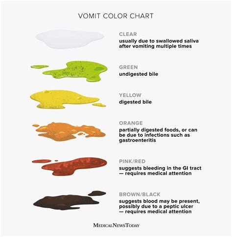 colored vomit