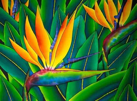 Colorful Bird Of Paradise Wall Decor Nature Fine Bird Of Paradise Coloring Page - Bird Of Paradise Coloring Page