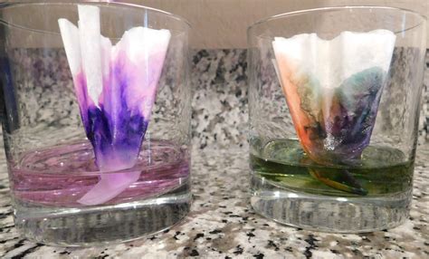 Colorful Coffee Filter Experiment Defy Gravity With Capillary Capillary Action Science Experiment - Capillary Action Science Experiment