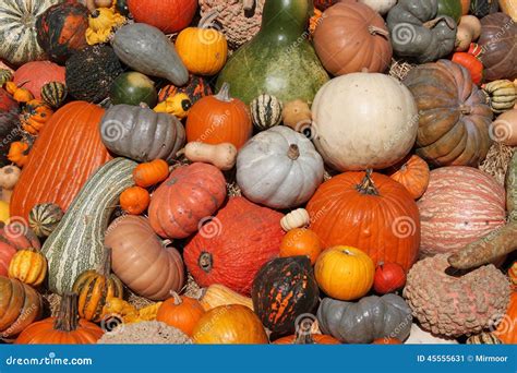 colorful pumpkins