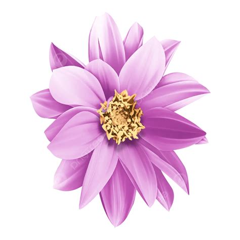 colorful violet