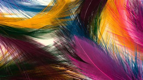 colorful wallpapers