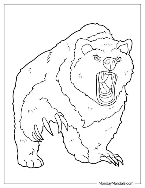 coloring bear pages