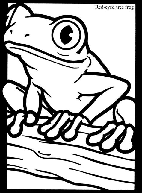 Coloring Book Red Eyed Tree Frog Allaboutfrogs Org Red Eye Tree Frog Coloring Page - Red Eye Tree Frog Coloring Page