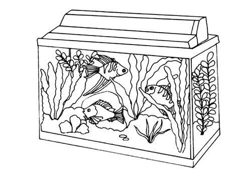 Coloring Page Fish Tank   A Splash Of Color The Ultimate Collection Of - Coloring Page Fish Tank