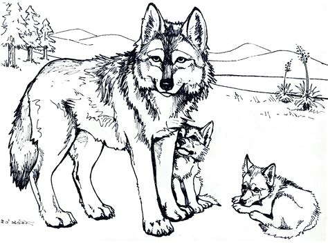 Coloring Page Of Wolf   Wolf Coloring Pages - Coloring Page Of Wolf