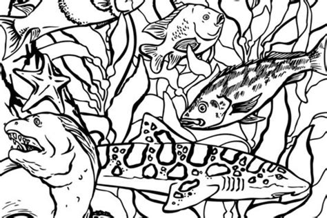 Coloring Pages Activities Monterey Bay Aquarium Printable Aquarium Coloring Pages - Printable Aquarium Coloring Pages