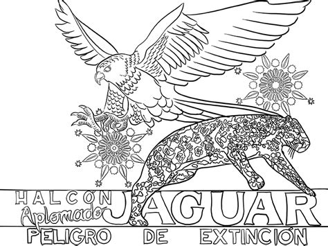 Coloring Pages Endangered Species Mural Project Biological Diversity Endangered Species Coloring Pages - Endangered Species Coloring Pages