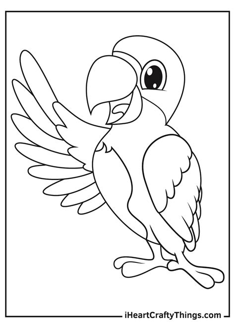 coloring parrots