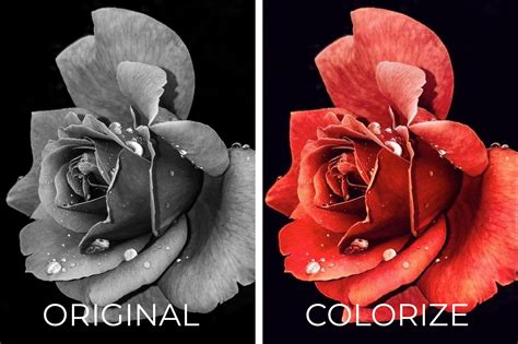 colorize black