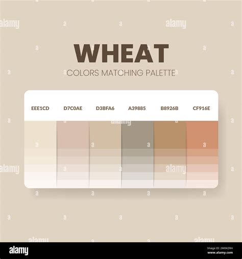 colors of wheat