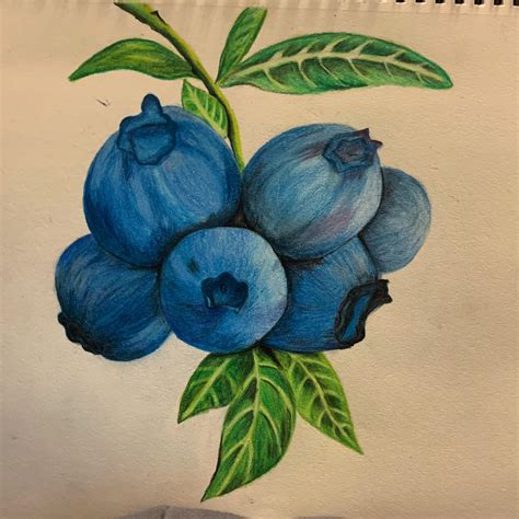 Colour Pencil Shading