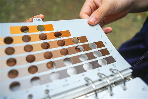 Download Colour Variation In Standard Soil Colour Charts Researchgate 