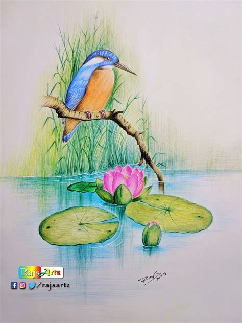 Coloured Sketches Of Nature Pencil Art Drawing Drawing Ideas Nature Colourful Easy - Drawing Ideas Nature Colourful Easy