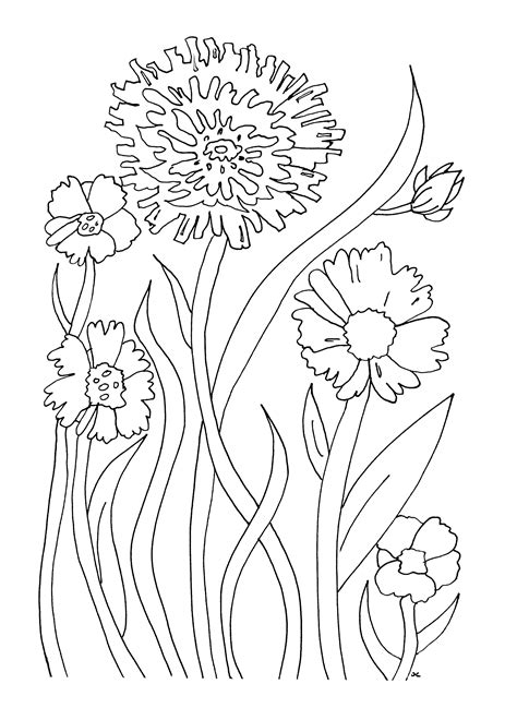 Colouring Pages Flowers Plants Free Coloring Pages Easy Garden Coloring Pages - Easy Garden Coloring Pages