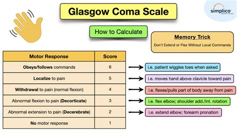 Coma Scale Score