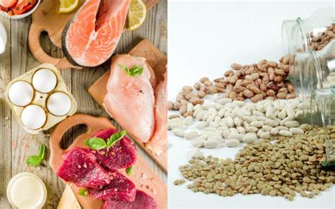 Comida De Origen Animal
