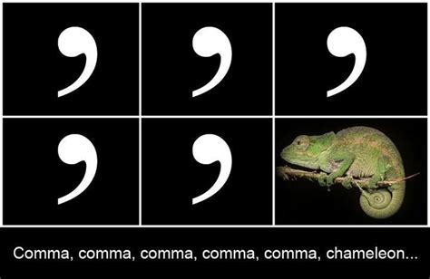 Comma Chameleon Lyrics