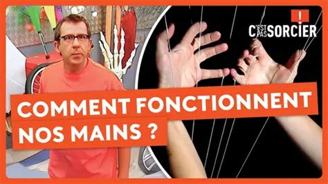 comment fonctionnent nos a c motions