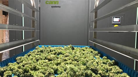 Commercial Cannabis Drying Curing Amp Storage Rooms Curing Drying Room Design - Curing Drying Room Design