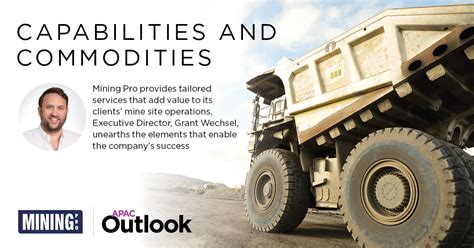 Commodities And Capabilities