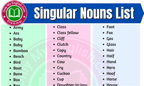 Common And Proper Nouns Singular Nouns Plural And Singular And Plural Nouns 2nd Grade - Singular And Plural Nouns 2nd Grade