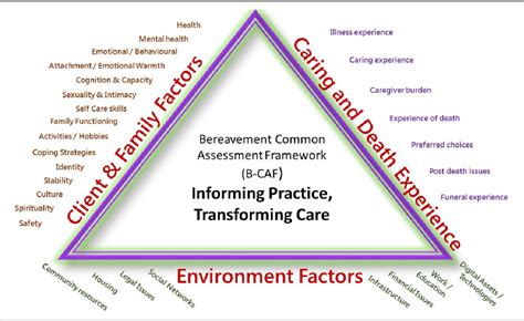 Common Assessment Framework