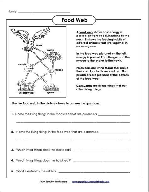 Common Core Science Worksheets For 4th Grade 4th Grade Common Core Science - 4th Grade Common Core Science