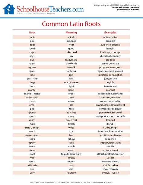 Common Latin And Greek Word Roots Chart Made Latin Roots Worksheet 6th Grade - Latin Roots Worksheet 6th Grade