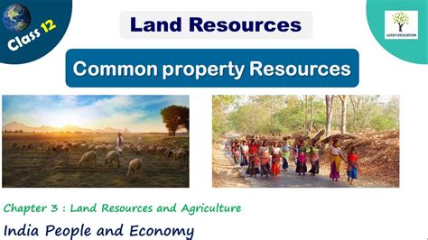 Common Property Resources