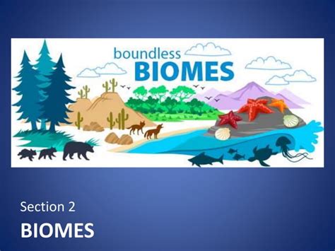 Download Communities And Biomes Chapter Assessment Biology 