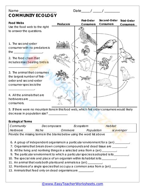 Community Ecology Worksheets Learny Kids Community Ecology Worksheet Answers - Community Ecology Worksheet Answers